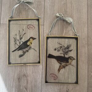 2 Vintage British Museum of Natural‎ History Glass Wall Art Bird Tree Sparrow